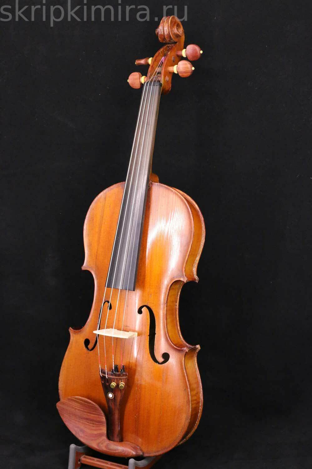 Скрипка фото. Скрипка 19 века. Французская скрипка. Магазин скрипок.