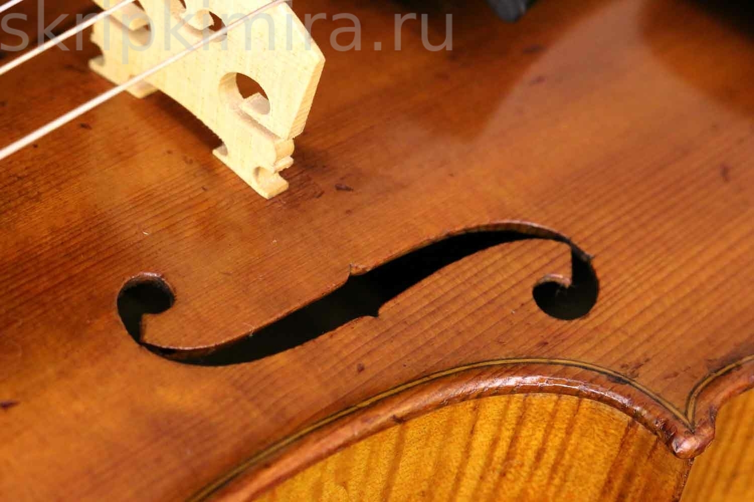 Самая маленькая скрипка. Самая маленькая скрипка в мире. Самасамая маленькая скрипка. Картинки деревянная скрипка маленькая. Скрипка май