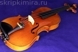 Скрипка модели Georges Chanot, Германия 6